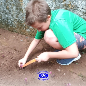 Alunos do 5º ano constroem horta