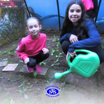 Alunos do 5º ano constroem horta