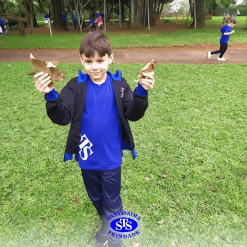 2º ano | Parque Franciscano STS