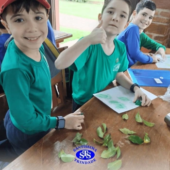2º ano | Parque Franciscano STS