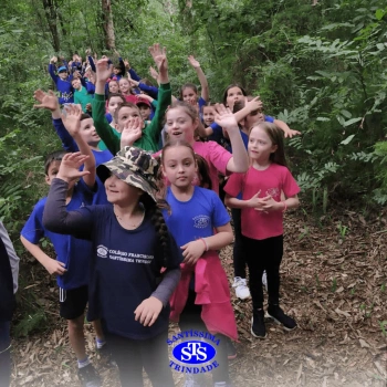 2º ano | Parque Franciscano STS