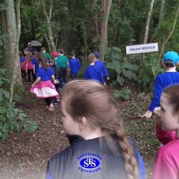 2º ano | Parque Franciscano STS