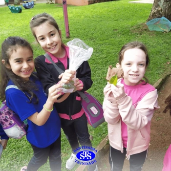 2º ano | Parque Franciscano STS