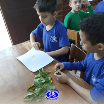 2º ano | Parque Franciscano STS