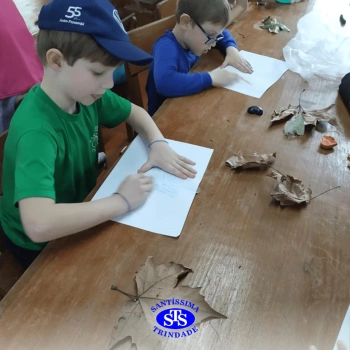 2º ano | Parque Franciscano STS