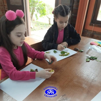2º ano | Parque Franciscano STS
