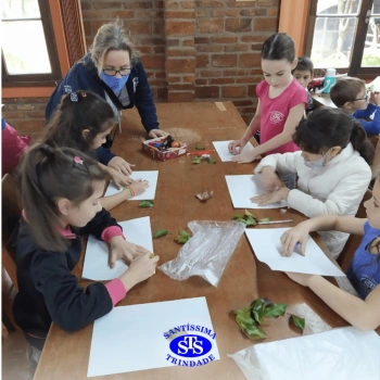 2º ano | Parque Franciscano STS