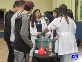 Brincando com a Ciência
