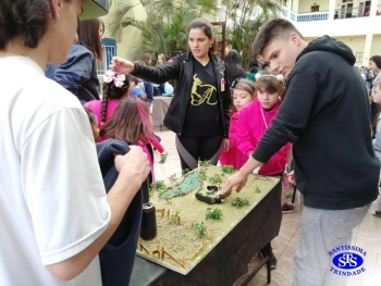 Brincando com a Ciência