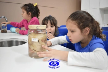 Aula no Laboratório de Ciência proporciona estudo dos animais | Inf. 5