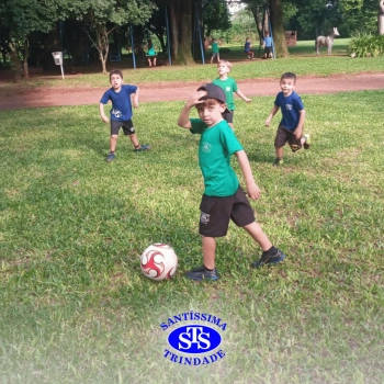 Alunos plantam árvore no Parque Franciscano para marcar os 110 anos do STS | Inf. 5