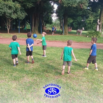 Alunos plantam árvore no Parque Franciscano para marcar os 110 anos do STS | Inf. 5