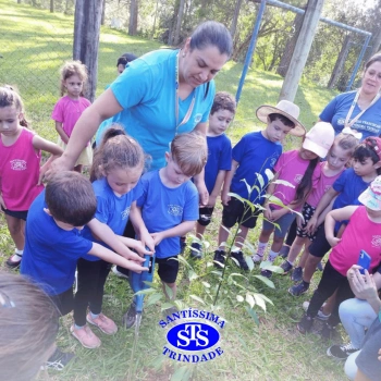Alunos plantam árvore no Parque Franciscano para marcar os 110 anos do STS | Inf. 5