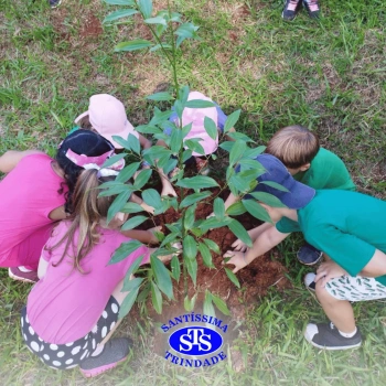Alunos plantam árvore no Parque Franciscano para marcar os 110 anos do STS | Inf. 5