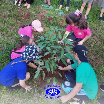 Alunos plantam árvore no Parque Franciscano para marcar os 110 anos do STS | Inf. 5