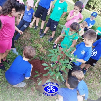 Alunos plantam árvore no Parque Franciscano para marcar os 110 anos do STS | Inf. 5