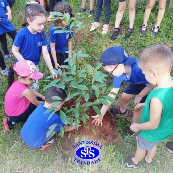 Alunos plantam árvore no Parque Franciscano para marcar os 110 anos do STS | Inf. 5