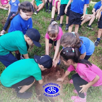 Alunos plantam árvore no Parque Franciscano para marcar os 110 anos do STS | Inf. 5