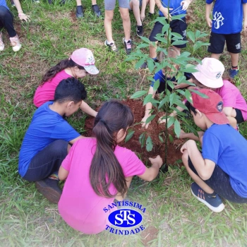 Alunos plantam árvore no Parque Franciscano para marcar os 110 anos do STS | Inf. 5
