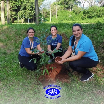 Alunos plantam árvore no Parque Franciscano para marcar os 110 anos do STS | Inf. 5