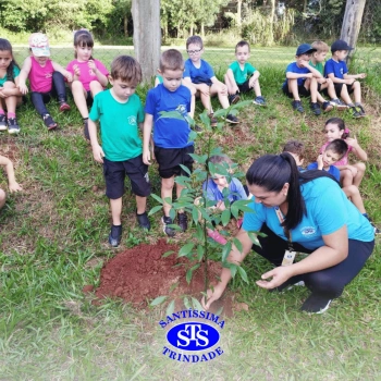 Alunos plantam árvore no Parque Franciscano para marcar os 110 anos do STS | Inf. 5