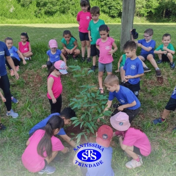 Alunos plantam árvore no Parque Franciscano para marcar os 110 anos do STS | Inf. 5