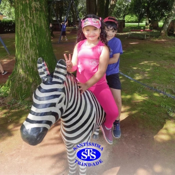 Alunos plantam árvore no Parque Franciscano para marcar os 110 anos do STS | Inf. 5