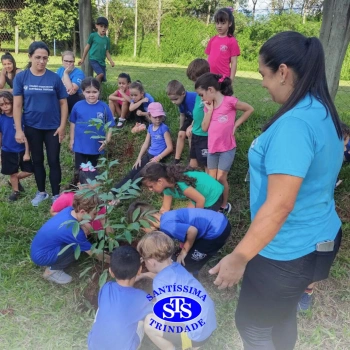 Alunos plantam árvore no Parque Franciscano para marcar os 110 anos do STS | Inf. 5
