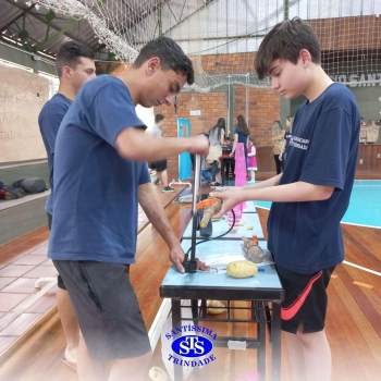 Brincando com a Ciência