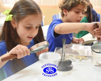 Crianças têm aula prática no Laboratório de Ciências