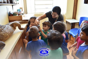 Alunos exploram o Laboratório de Ciências em sua primeira aula | Inf. 4