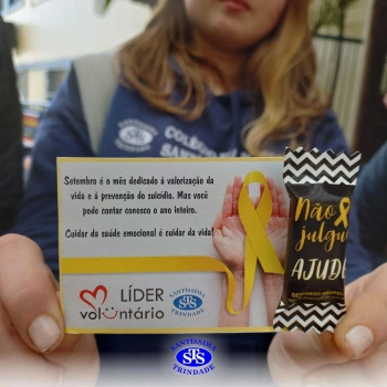 1ª Parada Musical STS