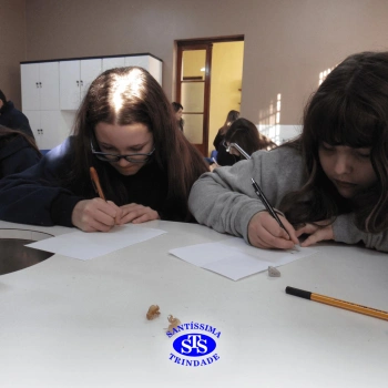 Prática com o microscópio para estudar o Sistema Locomotor | 6º ano