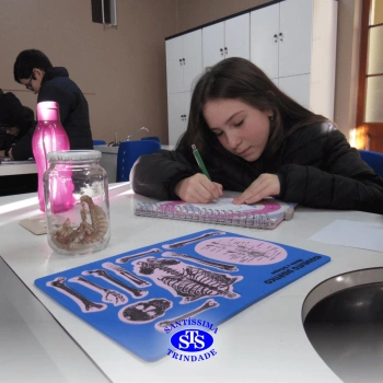 Prática com o microscópio para estudar o Sistema Locomotor | 6º ano