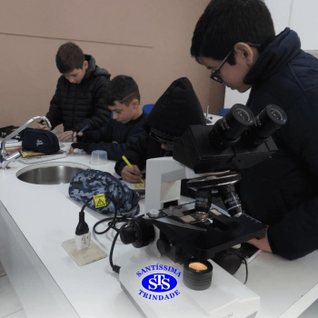 Prática com o microscópio para estudar o Sistema Locomotor | 6º ano