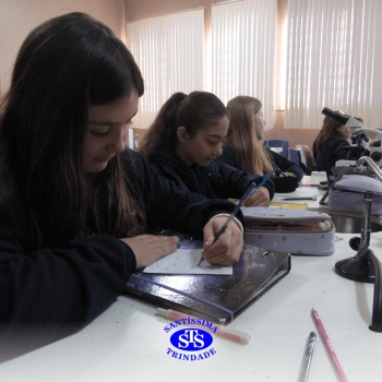 Prática com o microscópio para estudar o Sistema Locomotor | 6º ano