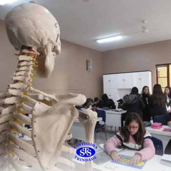 Prática com o microscópio para estudar o Sistema Locomotor | 6º ano