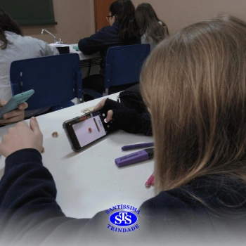 Prática com o microscópio para estudar o Sistema Locomotor | 6º ano