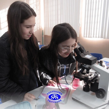 Prática com o microscópio para estudar o Sistema Locomotor | 6º ano