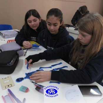 Prática com o microscópio para estudar o Sistema Locomotor | 6º ano