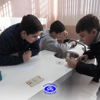 Prática com o microscópio para estudar o Sistema Locomotor | 6º ano