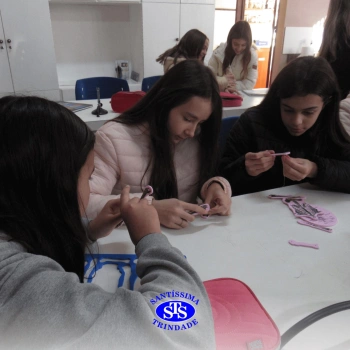 Prática com o microscópio para estudar o Sistema Locomotor | 6º ano