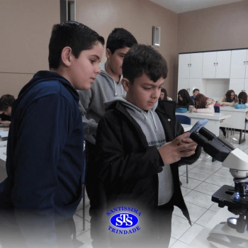 Prática com o microscópio para estudar o Sistema Locomotor | 6º ano