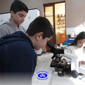 Prática com o microscópio para estudar o Sistema Locomotor | 6º ano