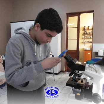 Prática com o microscópio para estudar o Sistema Locomotor | 6º ano
