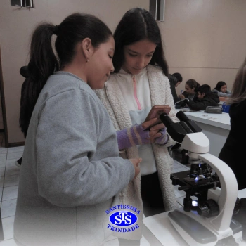 Prática com o microscópio para estudar o Sistema Locomotor | 6º ano
