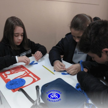 Prática com o microscópio para estudar o Sistema Locomotor | 6º ano