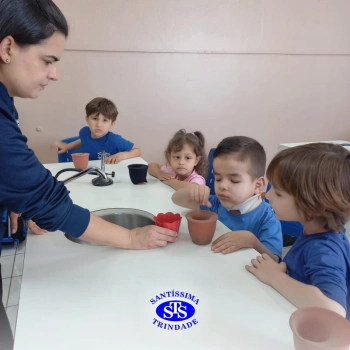 Alunos estudam processo de germinação de forma prática e lúdica