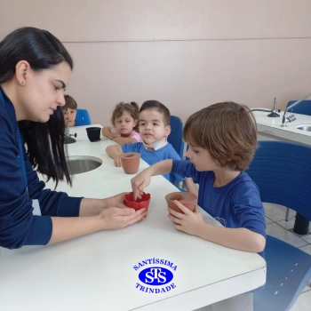 Alunos estudam processo de germinação de forma prática e lúdica