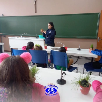 Alunos estudam processo de germinação de forma prática e lúdica